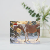 Beautiful Paint Horse Mare Christmas  Briefkaart (Staand voorkant)
