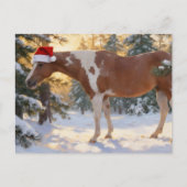 Beautiful Paint Horse Mare Christmas  Briefkaart (Voorkant)