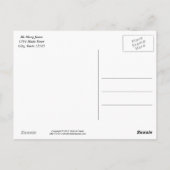 Beautiful Paint Horse Postcards Briefkaart (Achterkant)