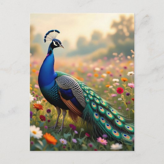 Beautiful Peacock in a Floral Field Briefkaart (Voorkant)