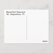 Beautiful Peacock Profile Briefkaart (Achterkant)