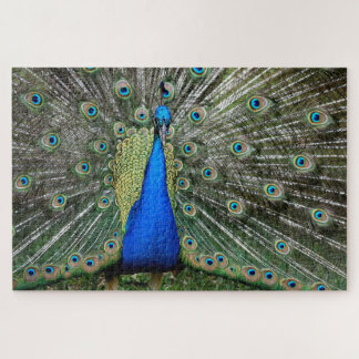 Beautiful Peacock Profile Legpuzzel