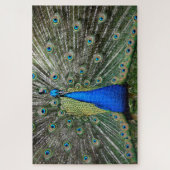 Beautiful Peacock Profile Legpuzzel (Verticaal)