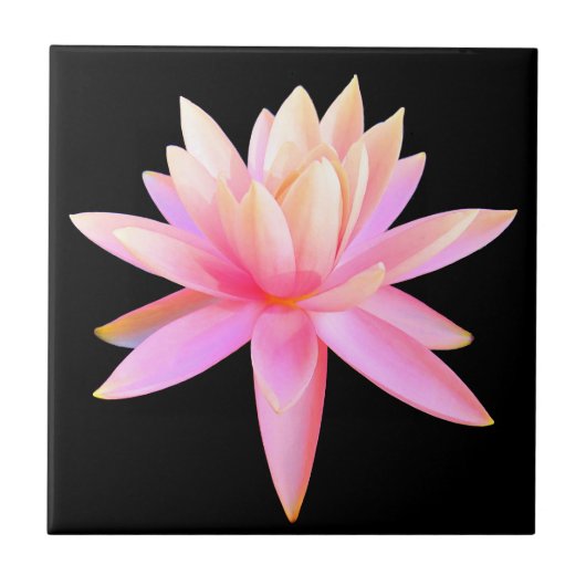 Beautiful Pink Lily Lotus Fine Art Tegeltje (Voorkant)
