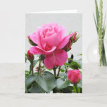 Beautiful Pink Rose Kaart<br><div class="desc">Beautiful Pink Rose. Matching items available in our store.</div>