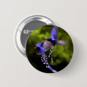 Beautiful Purple Birds in Flight Button (Voorkant /achterkant)