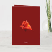 Beautiful Red Rose Isolated Photograph Vector Kaart (Achterkant)