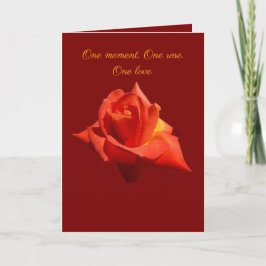 Beautiful Red Rose Isolated Photograph Vector Kaart