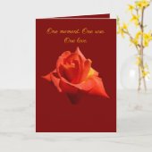 Beautiful Red Rose Isolated Photograph Vector Kaart (Gele Bloem)