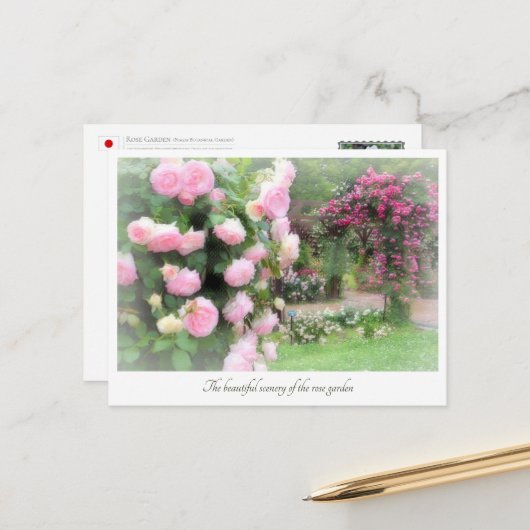 Beautiful Rose Garden Briefkaart (Voorkant / Achterkant in situ)