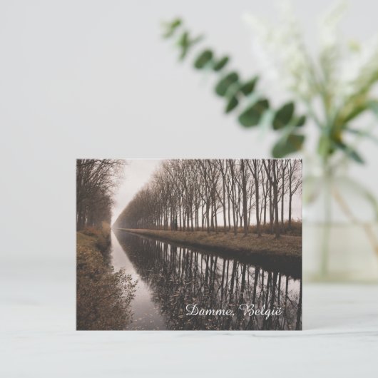 Beautiful Schipdonk Canal in Autumn, Damme Feestdagenkaart (Staand voorkant)