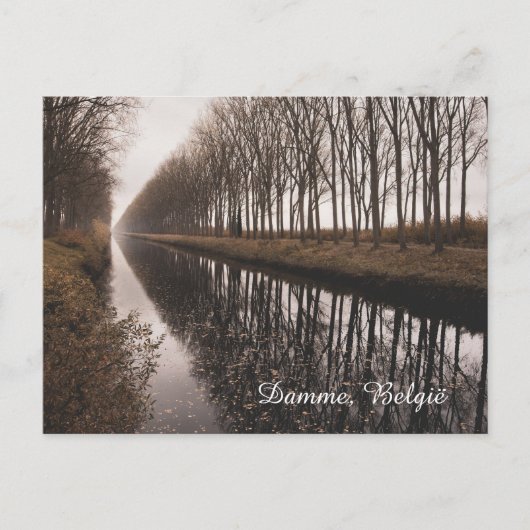 Beautiful Schipdonk Canal in Autumn, Damme Feestdagenkaart (Voorkant)