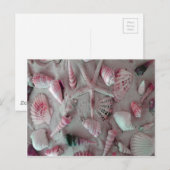 Beautiful Seashells Briefkaart (Voorkant / Achterkant)
