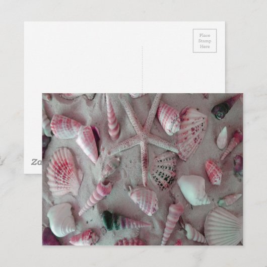 Beautiful Seashells Briefkaart (Voorkant / Achterkant)