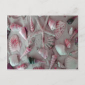 Beautiful Seashells Briefkaart (Voorkant)