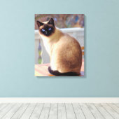 Beautiful Siamese Cat Blue Eyes Canvas Afdruk (Insitu (Houten vloer))