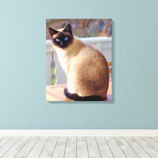 Beautiful Siamese Cat Blue Eyes Canvas Afdruk (Insitu (Houten vloer))