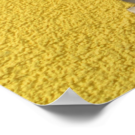 Beautiful Siamese Cat Poster (Hoek)