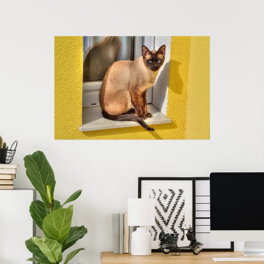 Beautiful Siamese Cat Poster (Thuiskantoor)