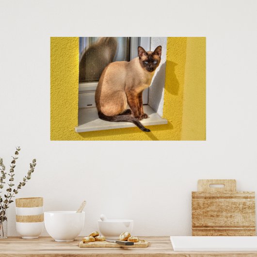 Beautiful Siamese Cat Poster (Keuken)