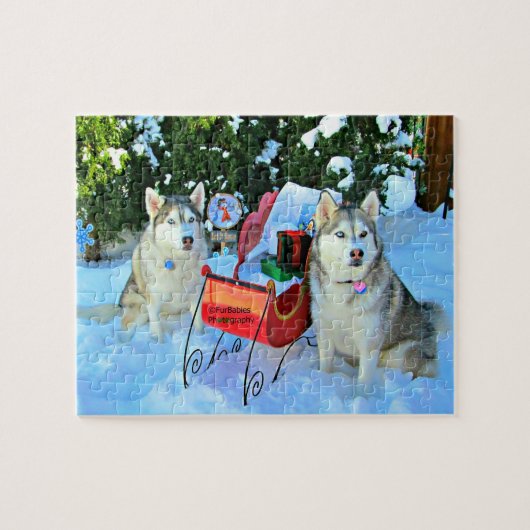Beautiful Siberian Huskies in the snow Legpuzzel (Horizontaal)