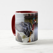 Beautiful Striking Wood Duck Florida Fotografie Mok (Voorkant links)