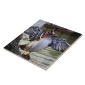 Beautiful Striking Wood Duck Florida Fotografie Tegeltje (Zijkant)