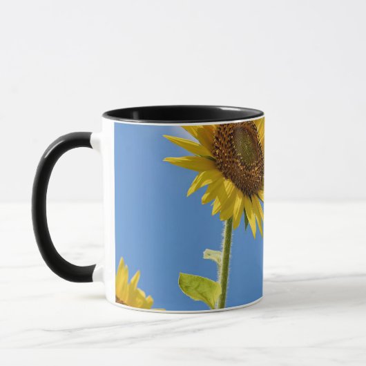 beautiful sun flowers with cloudy blue sky mok (Links)