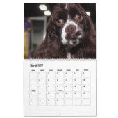 BEAUTIFUL SUPERSTAR CANINE DOGS KALENDER (Mar 2027)