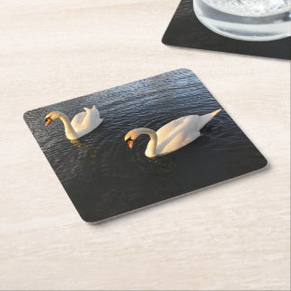 Beautiful swans kartonnen onderzetters