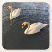Beautiful swans kartonnen onderzetters (Voorkant)