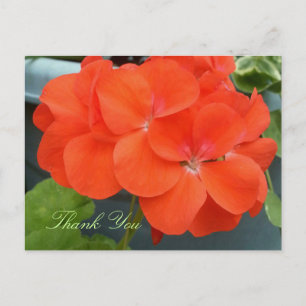 Beautiful Thank You Post-Card Briefkaart