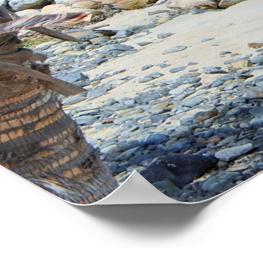 Beautiful Turquoise Tropical Beach Poster (Hoek)