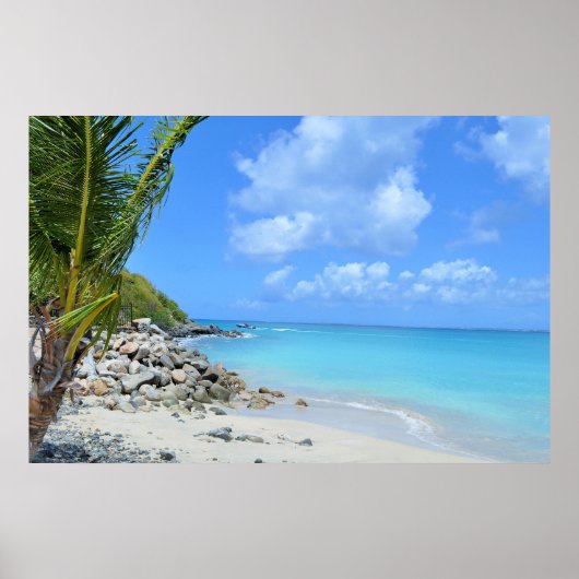 Beautiful Turquoise Tropical Beach Poster (Voorkant)