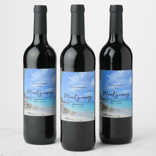 Beautiful Turquoise Tropical Beach Wine Making Wijn Etiket (Flessen)