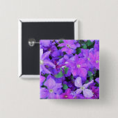Beautiful Violet Clematis Vierkante Button 5,1 Cm (Voorkant /achterkant)