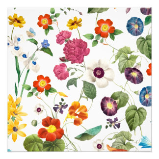 Beautiful Watercolor Botanical Foto Afdruk