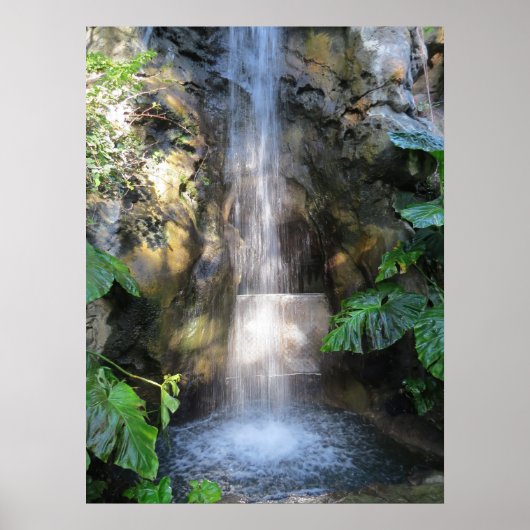 Beautiful Waterfalls In Rain Forest Poster (Voorkant)