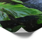 Beautiful Waterfalls In Rain Forest Poster (Hoek)