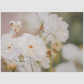 Beautiful White Korbin Roses Close-Up Photograph Tissuepapier (Voorkant)