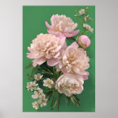 Beautiful White & Pink Peonies On Green Background Poster (Voorkant)