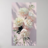 Beautiful White & Pink Peonies On Pink Background Poster (Voorkant)
