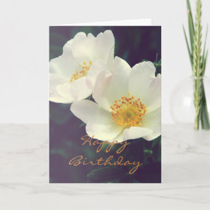 Beautiful Wild Rose Happy Birthday Card Kaart
