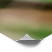 Beautiful Wings Poster (Hoek)