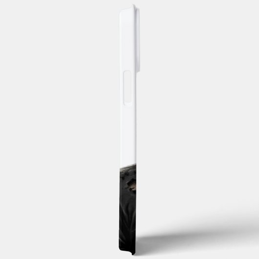 Beautiful wolf cover (Achterkant / Rechts)