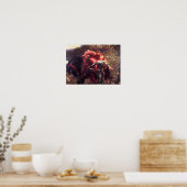 Beautiful Woman Without Mercy Poster (Keuken)