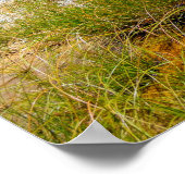 Beautiful Yellowstone National Park, Verenigde Sta Poster (Hoek)