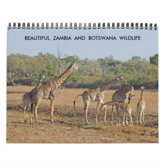 BEAUTIFUL ZAMBIA EN BOTSWANA WILDLIFE CALENDAR KALENDER
