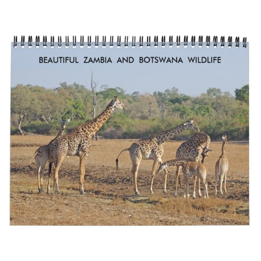 BEAUTIFUL ZAMBIA EN BOTSWANA WILDLIFE CALENDAR KALENDER (Hoes)