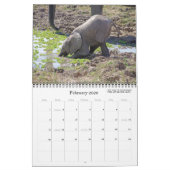 BEAUTIFUL ZAMBIA EN BOTSWANA WILDLIFE CALENDAR KALENDER (Feb 2026)